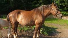 detske-tabory-sindibad-045