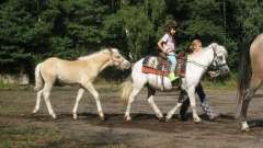 detske-tabory-sindibad-076