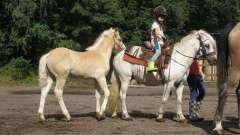 detske-tabory-sindibad-077