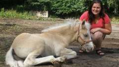 detske-tabory-sindibad-079