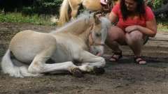 detske-tabory-sindibad-080