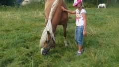 detske-tabory-sindibad-006