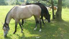 detske-tabory-sindibad-011