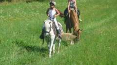 detske-tabory-sindibad-038