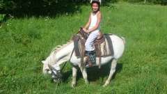 detske-tabory-sindibad-042