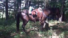 detske-tabory-sindibad-047