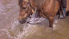 detske-tabory-sindibad-019