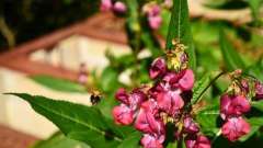 detske-tabory-sindibad-024