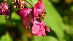 detske-tabory-sindibad-025