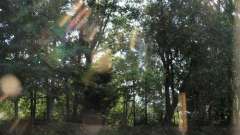 detske-tabory-sindibad-030