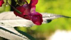 detske-tabory-sindibad-031