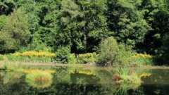 detske-tabory-sindibad-032