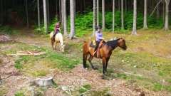 detske-tabory-sindibad-050
