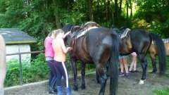 detske-tabory-sindibad-011