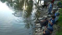 detske-tabory-sindibad-004