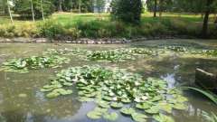 detske-tabory-sindibad-017