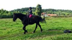 detske-tabory-sindibad-010