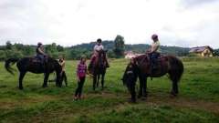 detske-tabory-sindibad-001