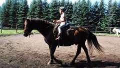 detske-tabory-sindibad-002