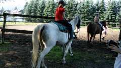 detske-tabory-sindibad-011