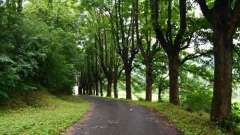 detske-tabory-sindibad-038