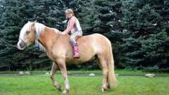 detske-tabory-sindibad-050