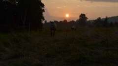 detske-tabory-sindibad-062