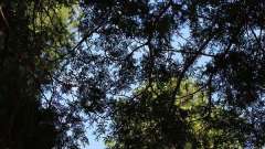 detske-tabory-sindibad-064