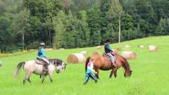detske-tabory-sindibad-007