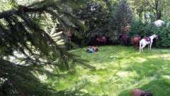 detske-tabory-sindibad-010