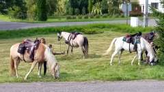detske-tabory-sindibad-015