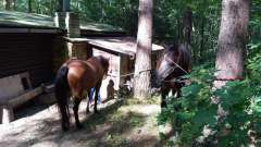detske-tabory-sindibad-018