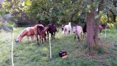 detske-tabory-sindibad-025