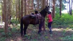 detske-tabory-sindibad-049