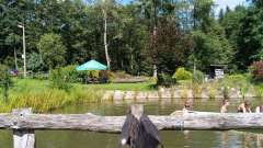 detske-tabory-sindibad-052