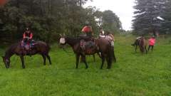 detske-tabory-sindibad-061