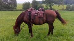 detske-tabory-sindibad-062