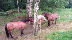 detske-tabory-sindibad-074