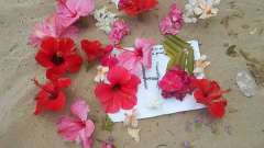 detske-tabory-sindibad-012