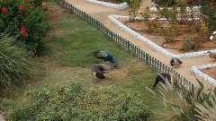 detske-tabory-sindibad-064