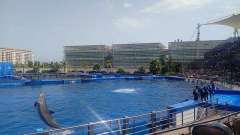 detske-tabory-sindibad-074