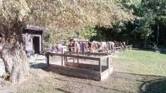 detske-tabory-sindibad-008