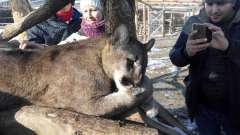 detske-tabory-sindibad-051