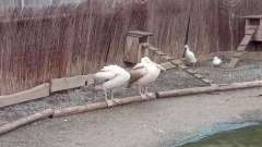 detske-tabory-sindibad-001