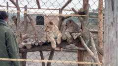 detske-tabory-sindibad-024