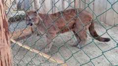 detske-tabory-sindibad-025