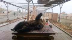 detske-tabory-sindibad-036