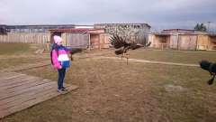 detske-tabory-sindibad-041