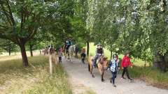 detske-tabory-sindibad-002