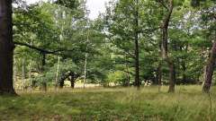 detske-tabory-sindibad-090